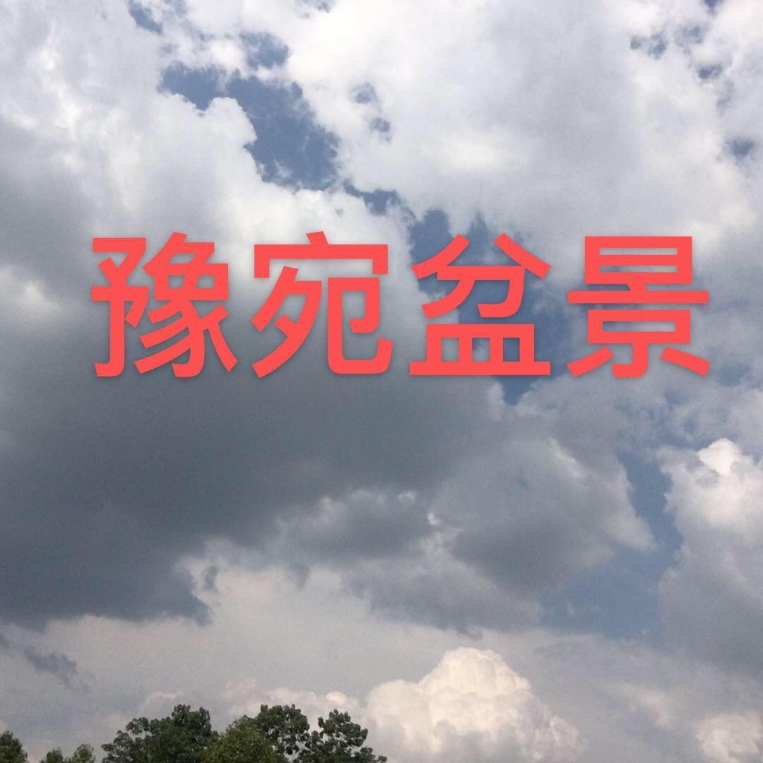 豫宛盆景