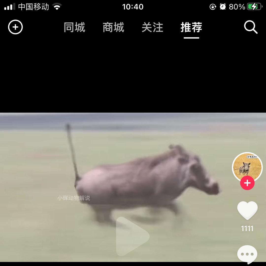 蓬蓬爱装杯
