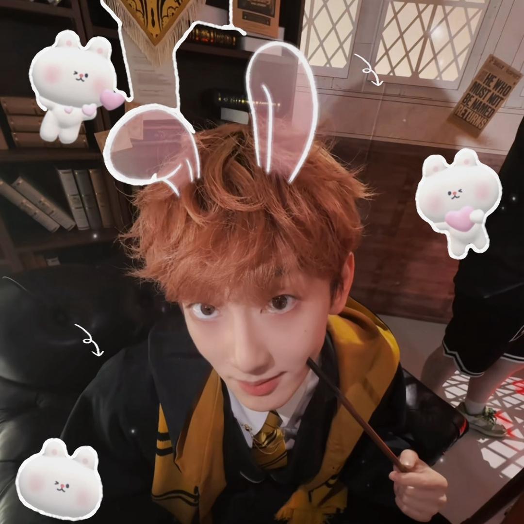 天天开心！🦊