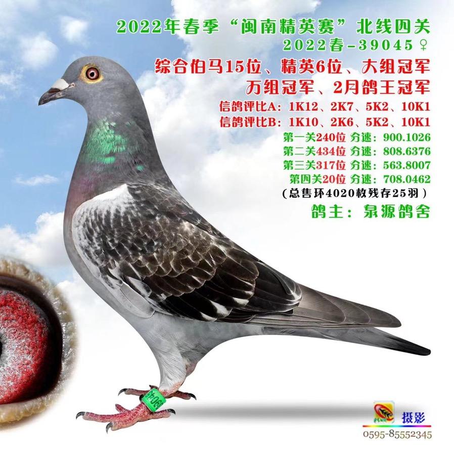 泉源鸽舍