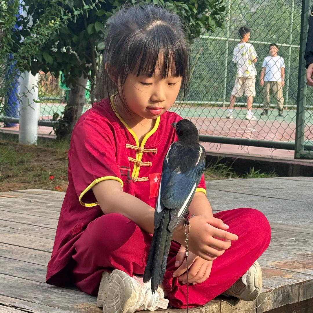 散打女孩与她的灵宠