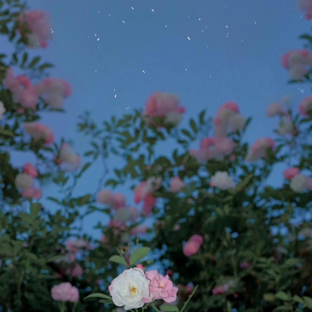 你说什么都ok啦