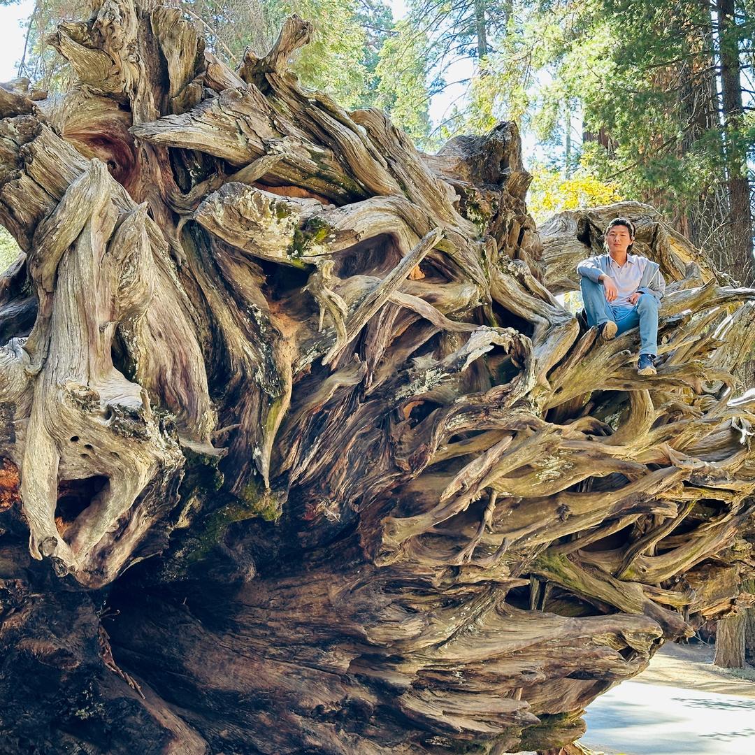 Liberty