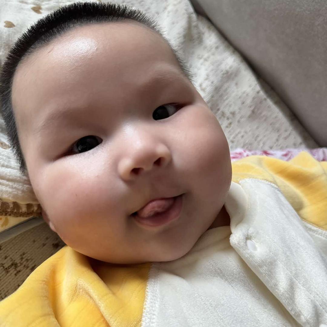 胡胡胡萝卜.