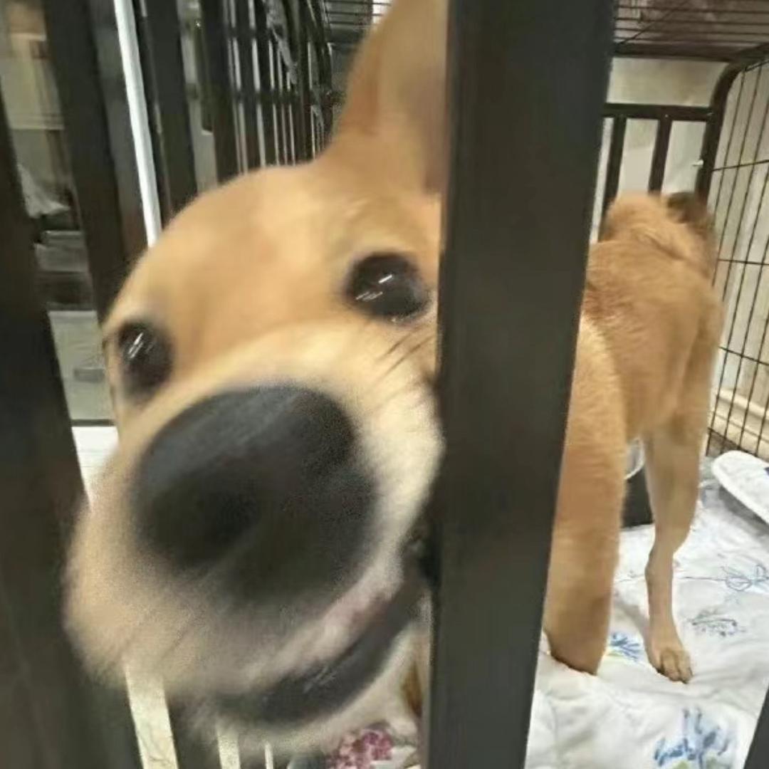 睡一会