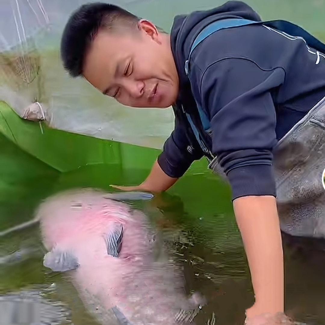 渔兄渔弟(下饭菜）