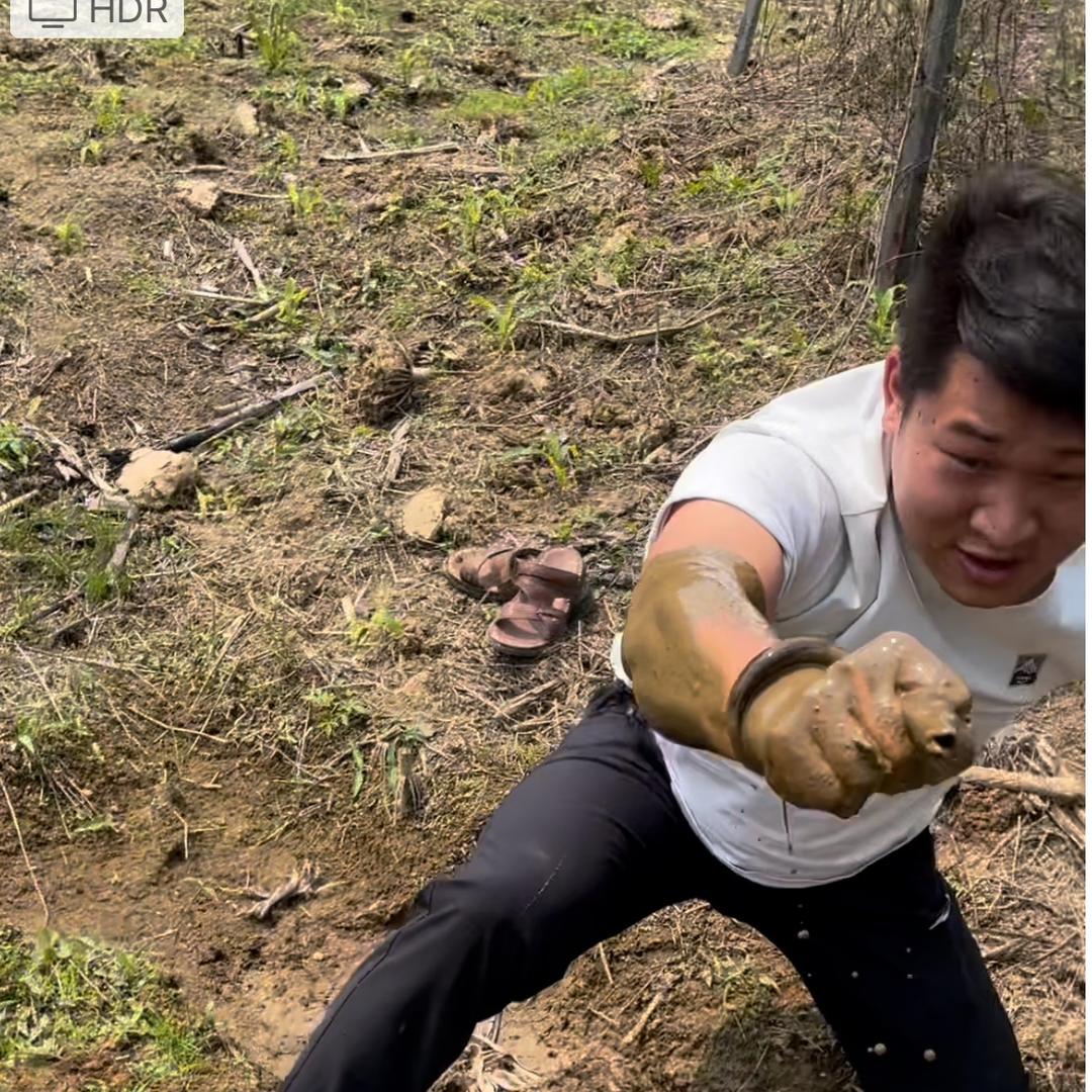 西南水观音