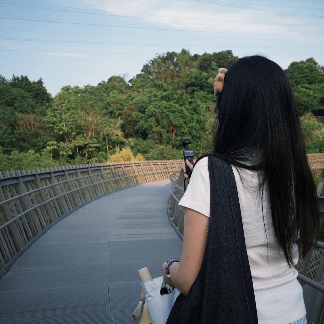 小羊没烦恼