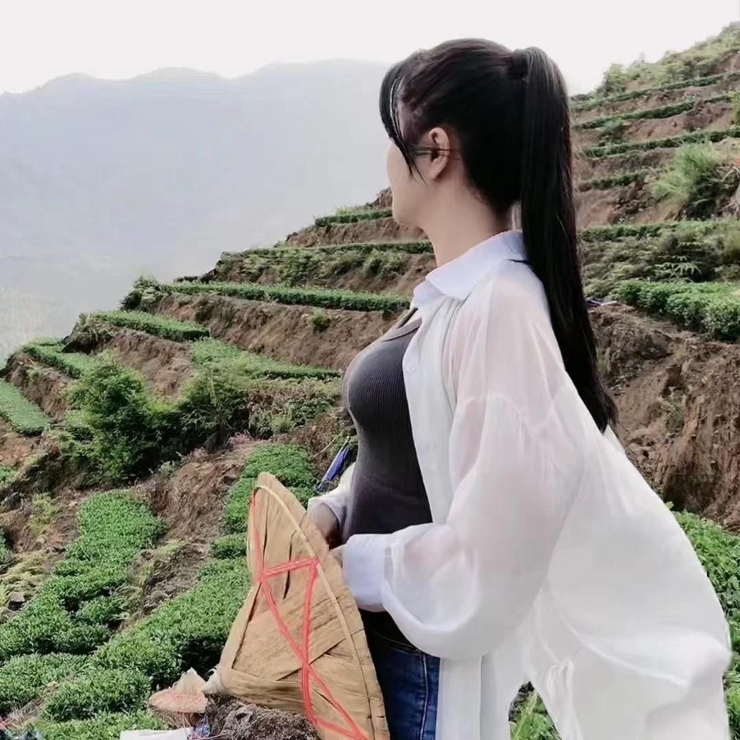 茶乡吴丫头