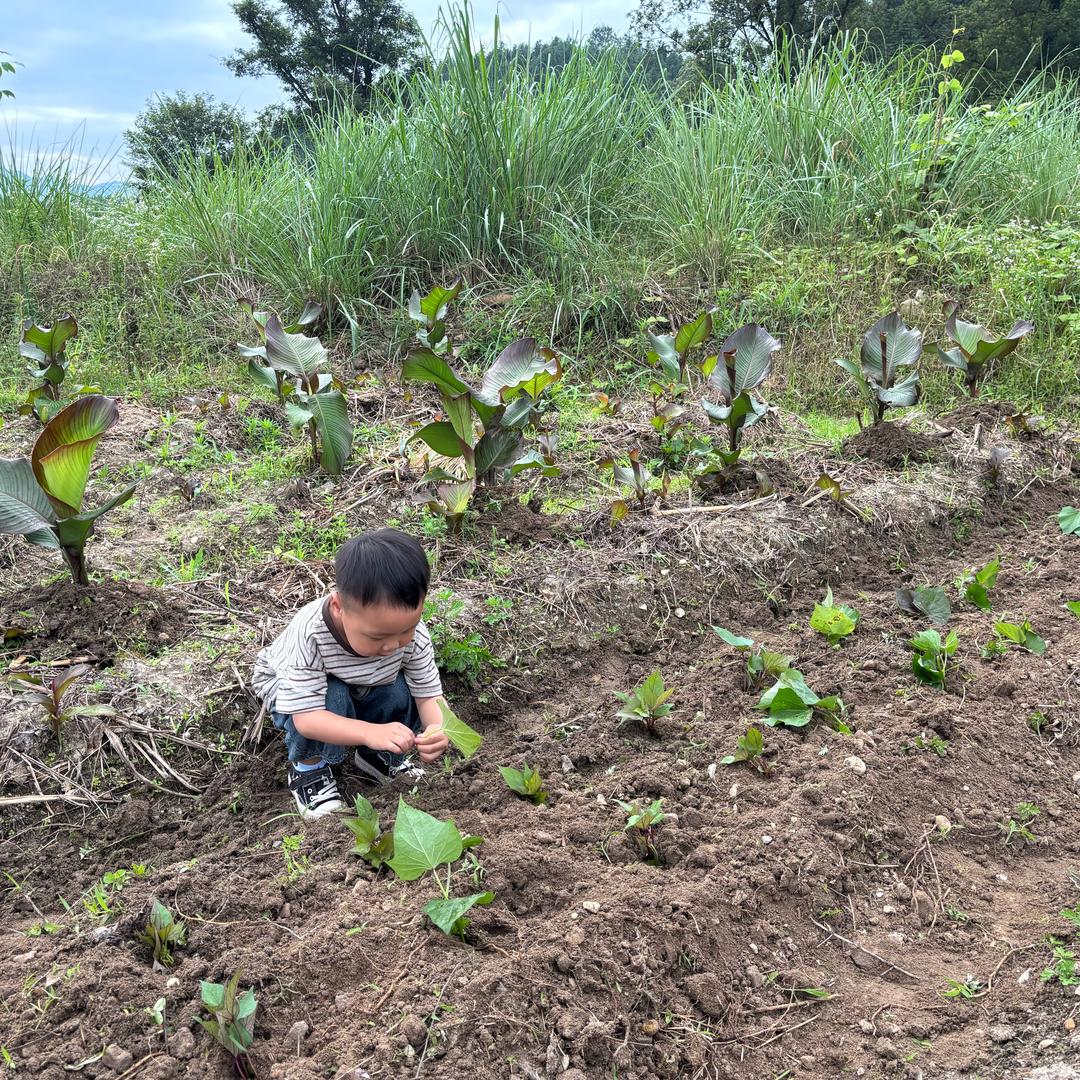 好ᨶ႒ᩚ运ᥫᩣ໌້ᮨ加满