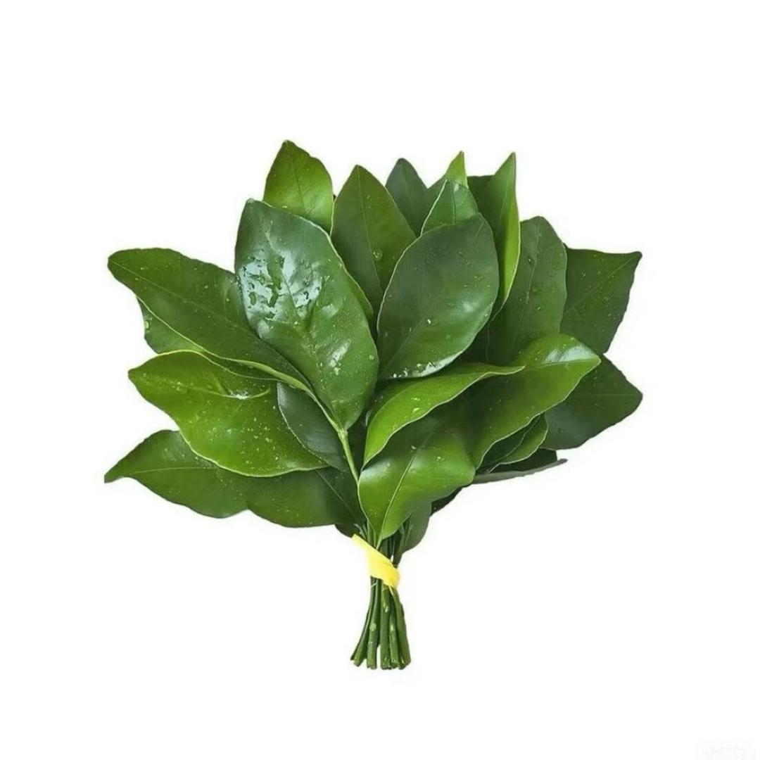 你算哪块小饼干