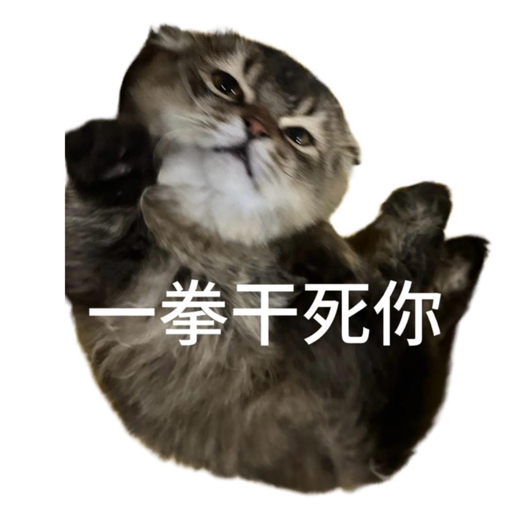7HY