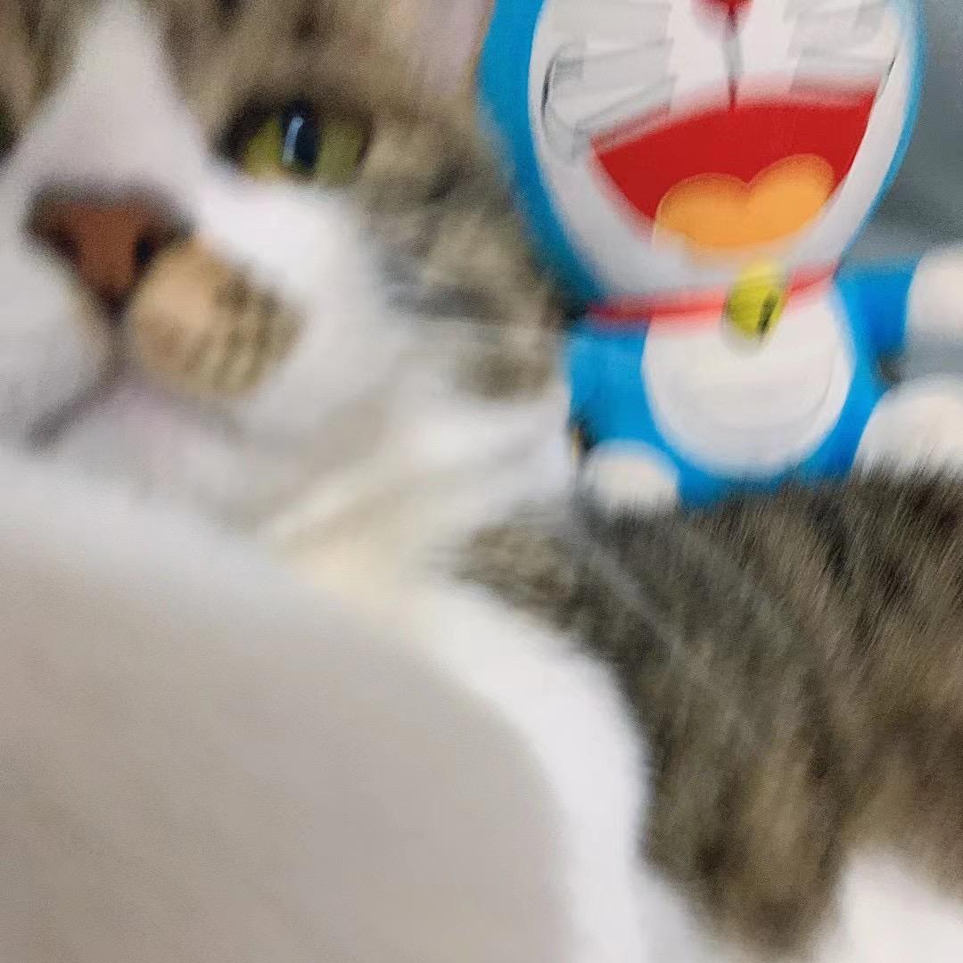 我叫吕酸菜