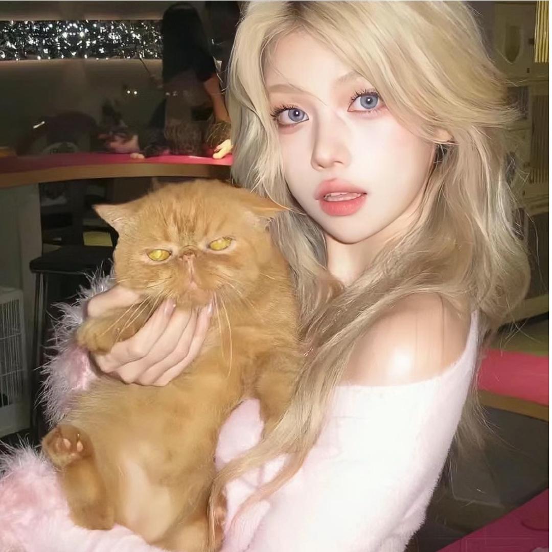 流泪猫猫头🐱