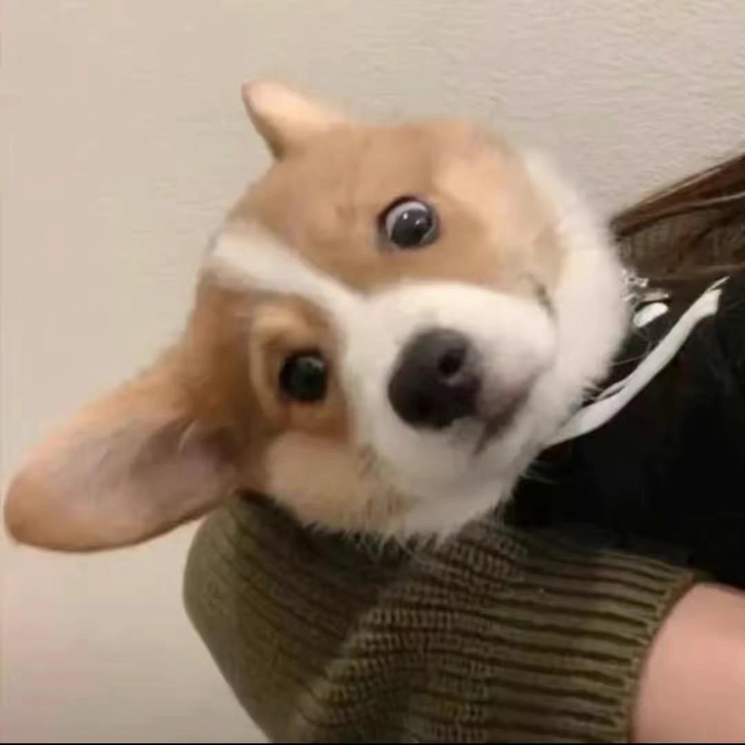 @阿奇道夫可乐斯基