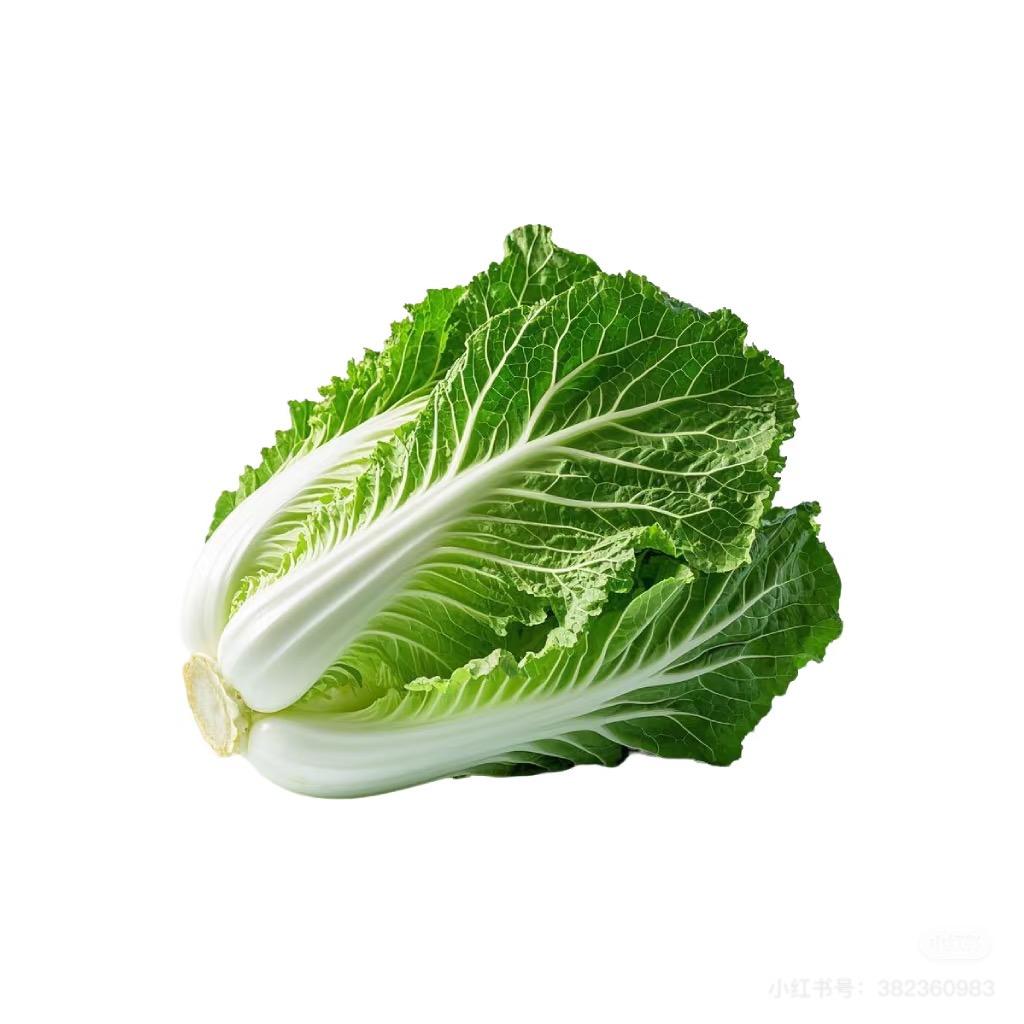 LLL