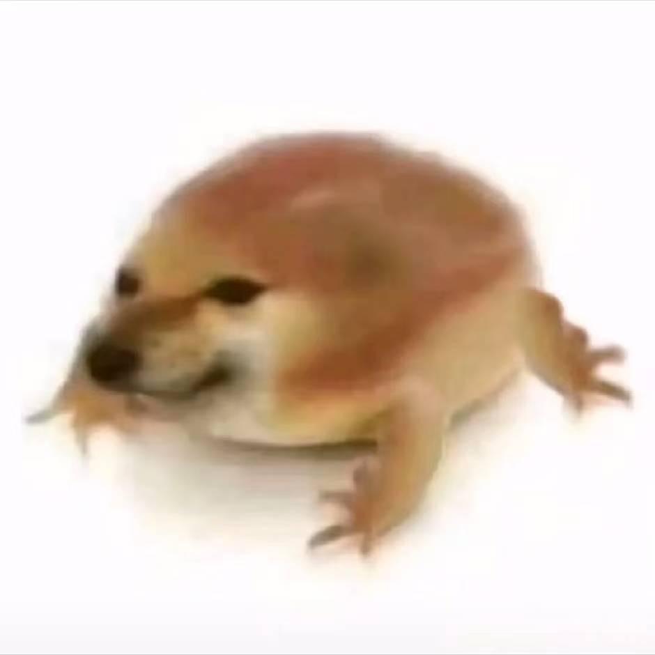 三亚养生之人