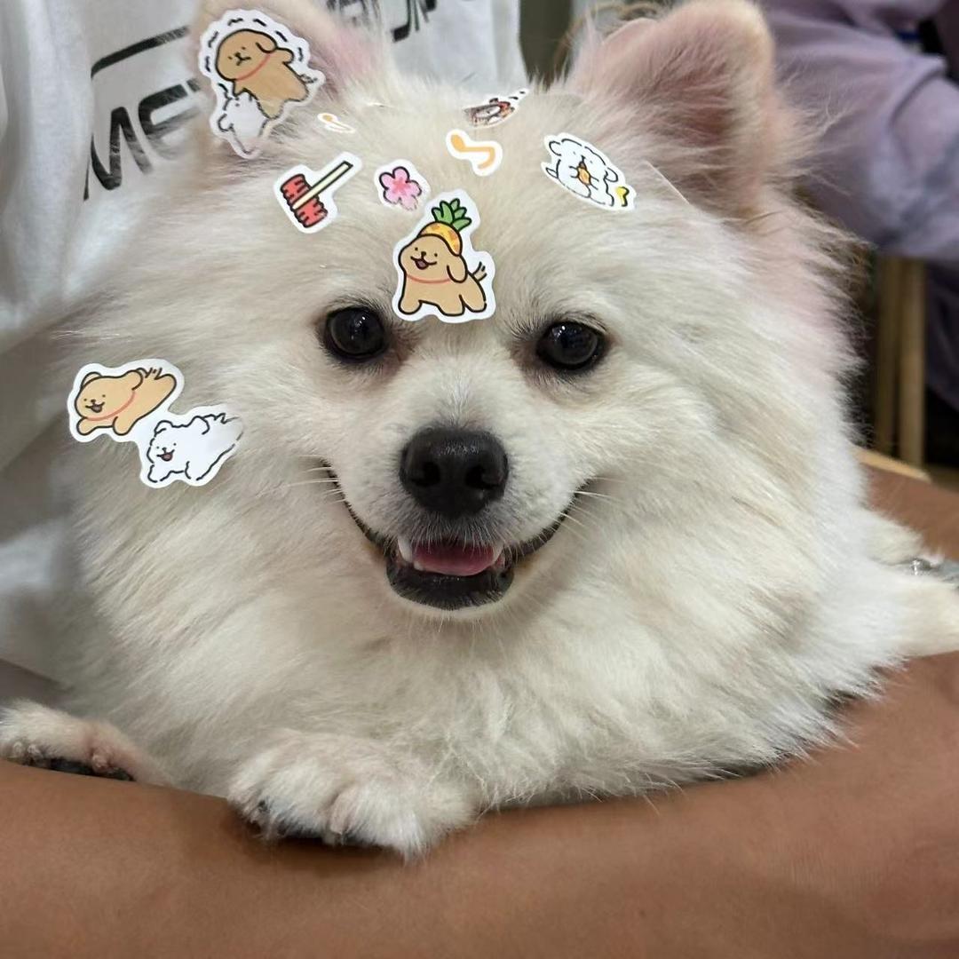 主无一适