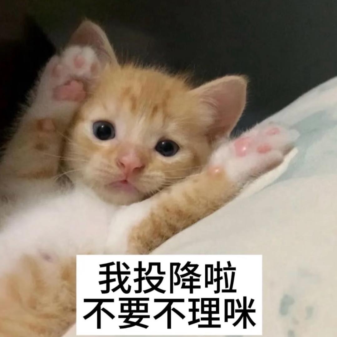 审白鱼