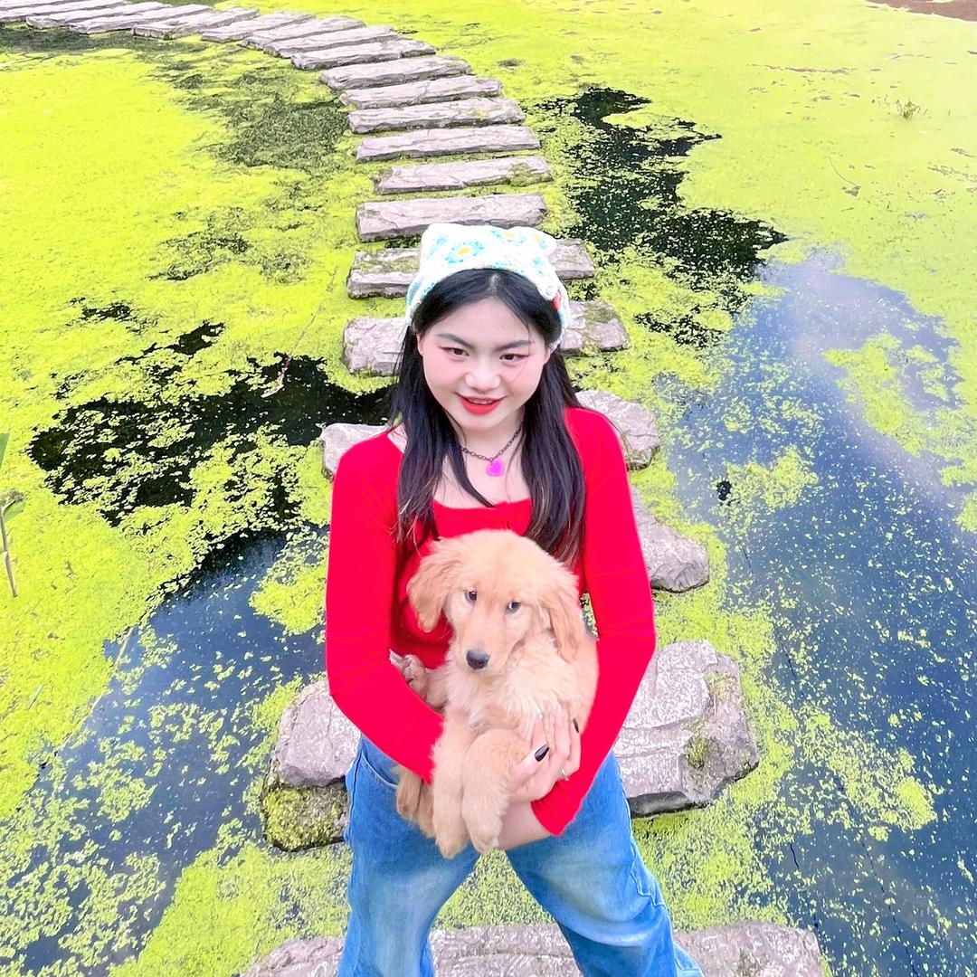 150cm金金✨（养成系）