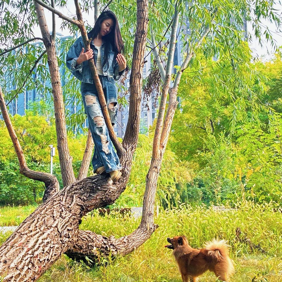 ꧔ꦿ᭄ꦿ꯭拂晓·银铃꧔ꦿ℘