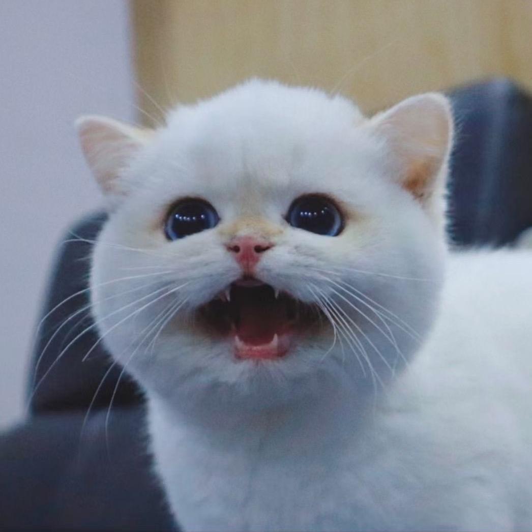 大声点听不到啊！