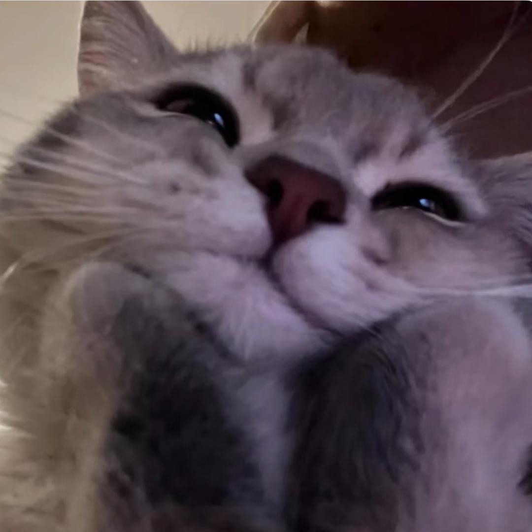 至爱