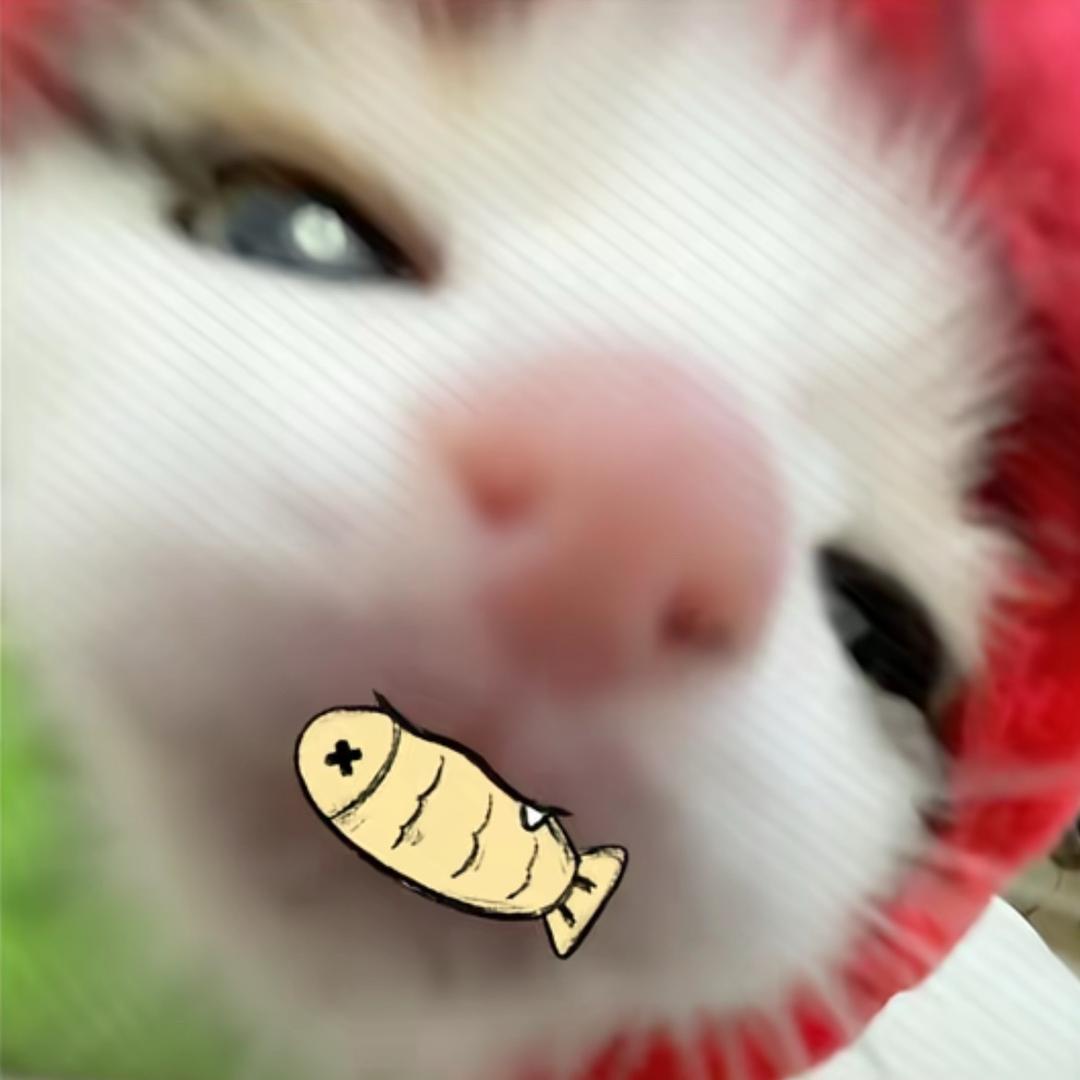 麻鱼ᵀ.
