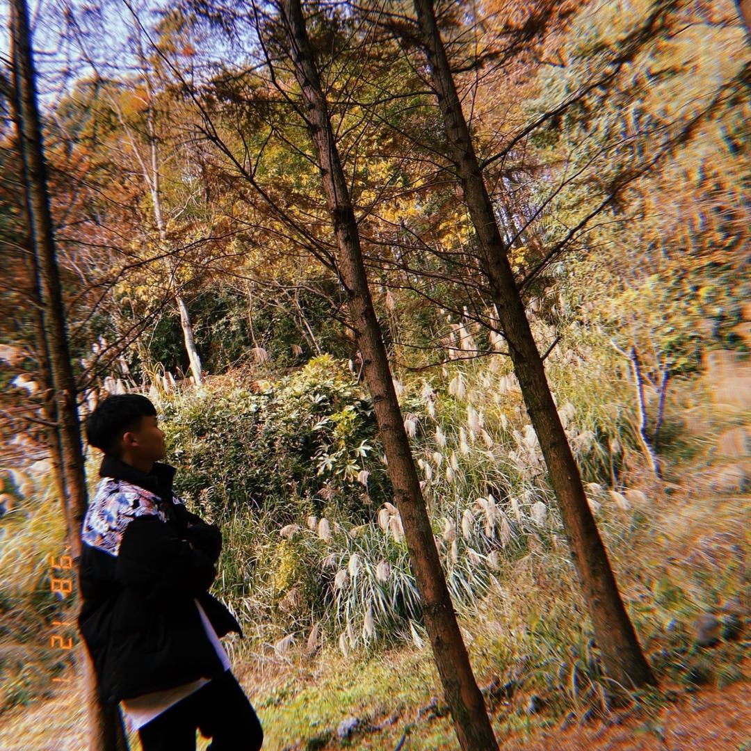 湘西居佳网络科技