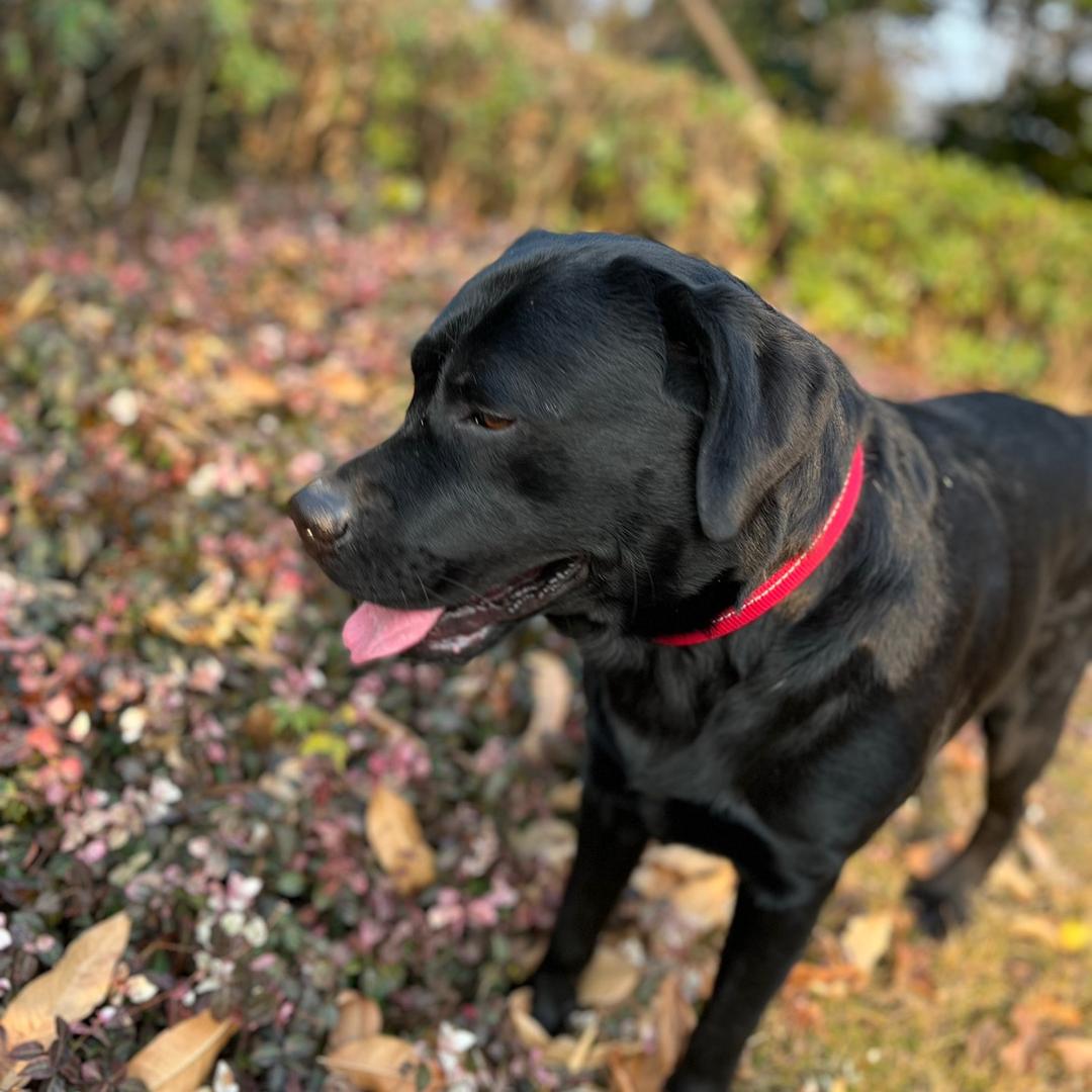 居然之春暖花开