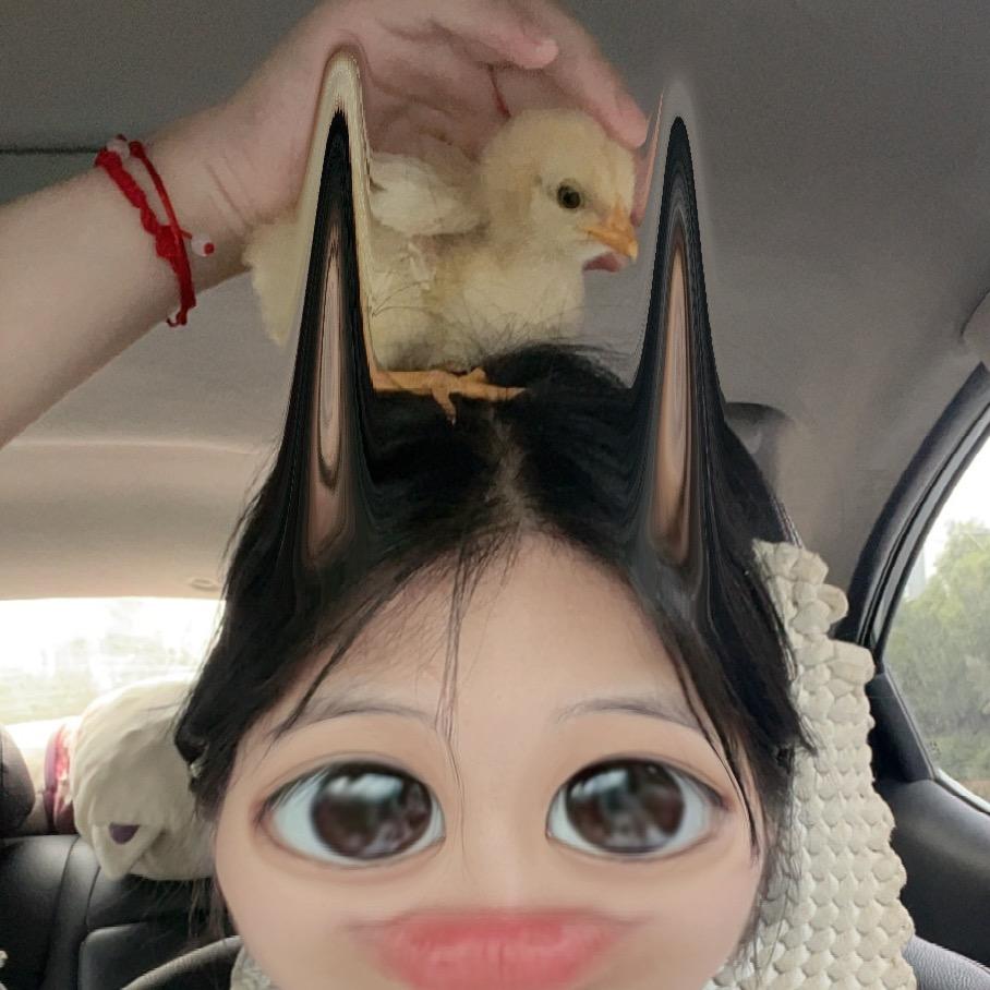 超级选秀🐥