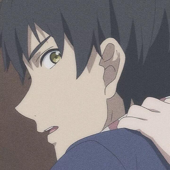 苏晨.