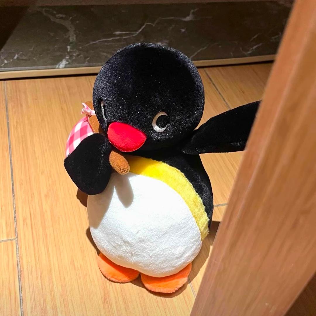 古徳猫宁