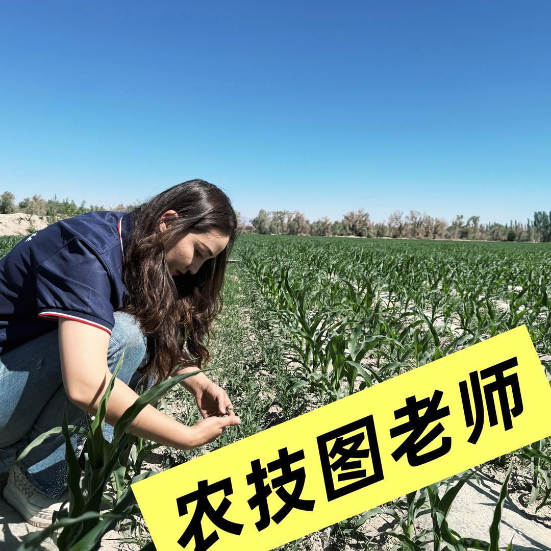 庄稼医生小图🌱