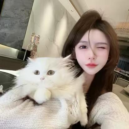 十七。
