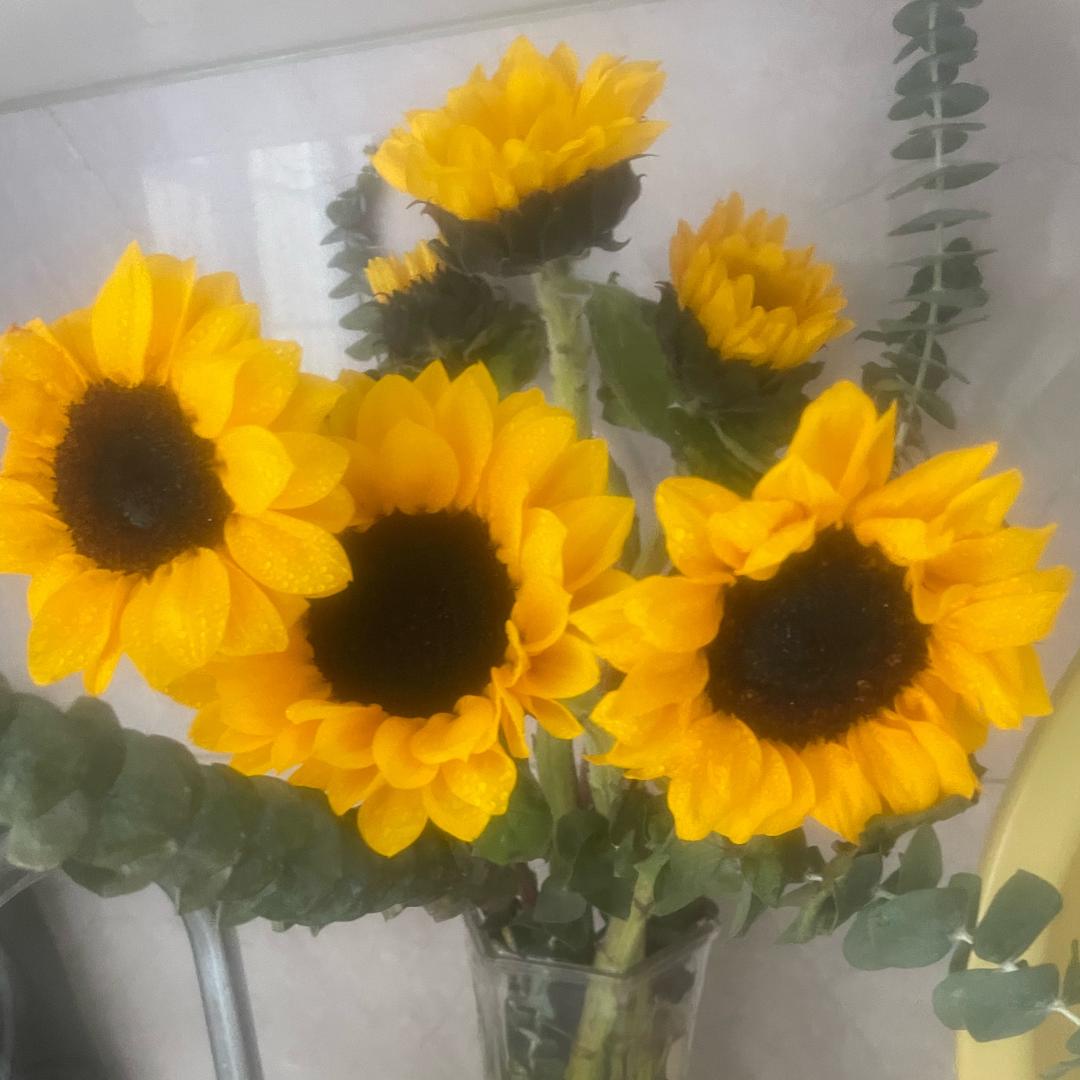 ✨✨✨好运来临💕