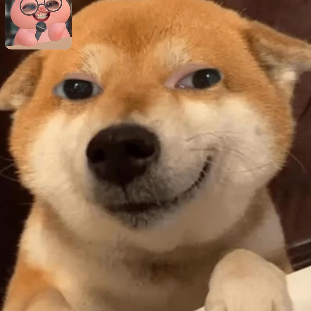 对三要不起