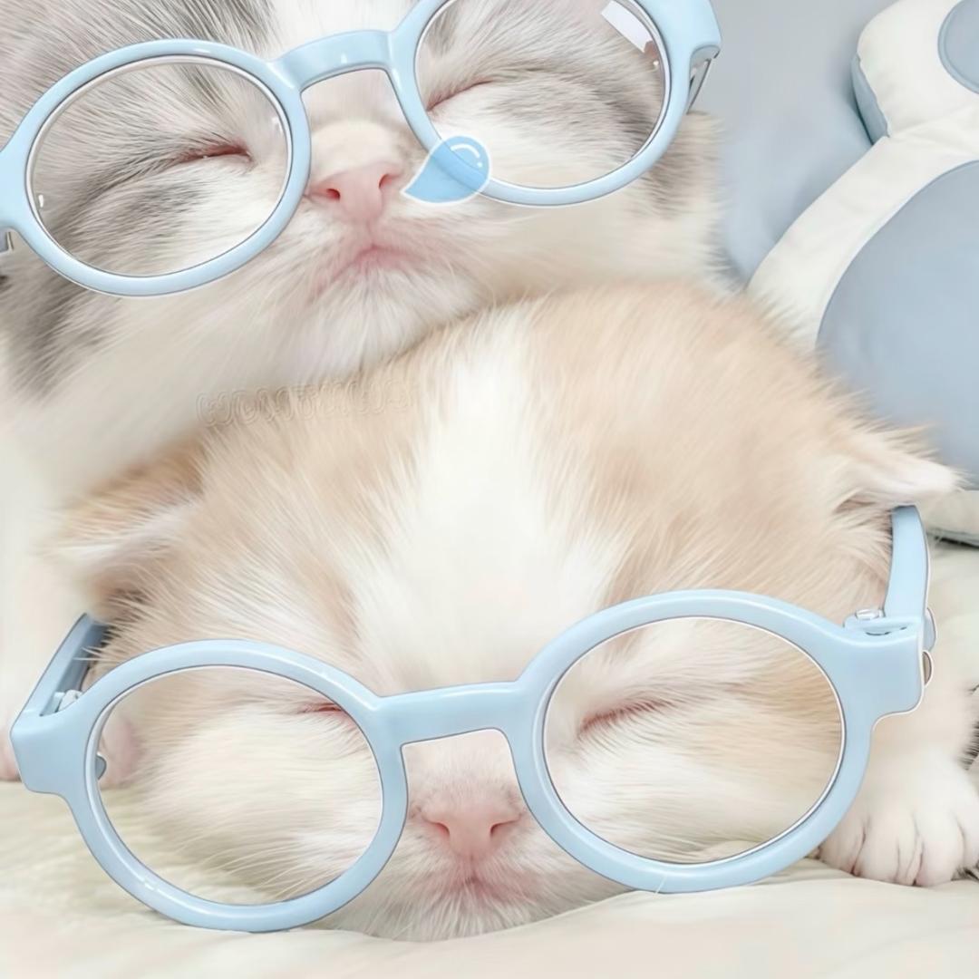 我女朋友天下第一萌