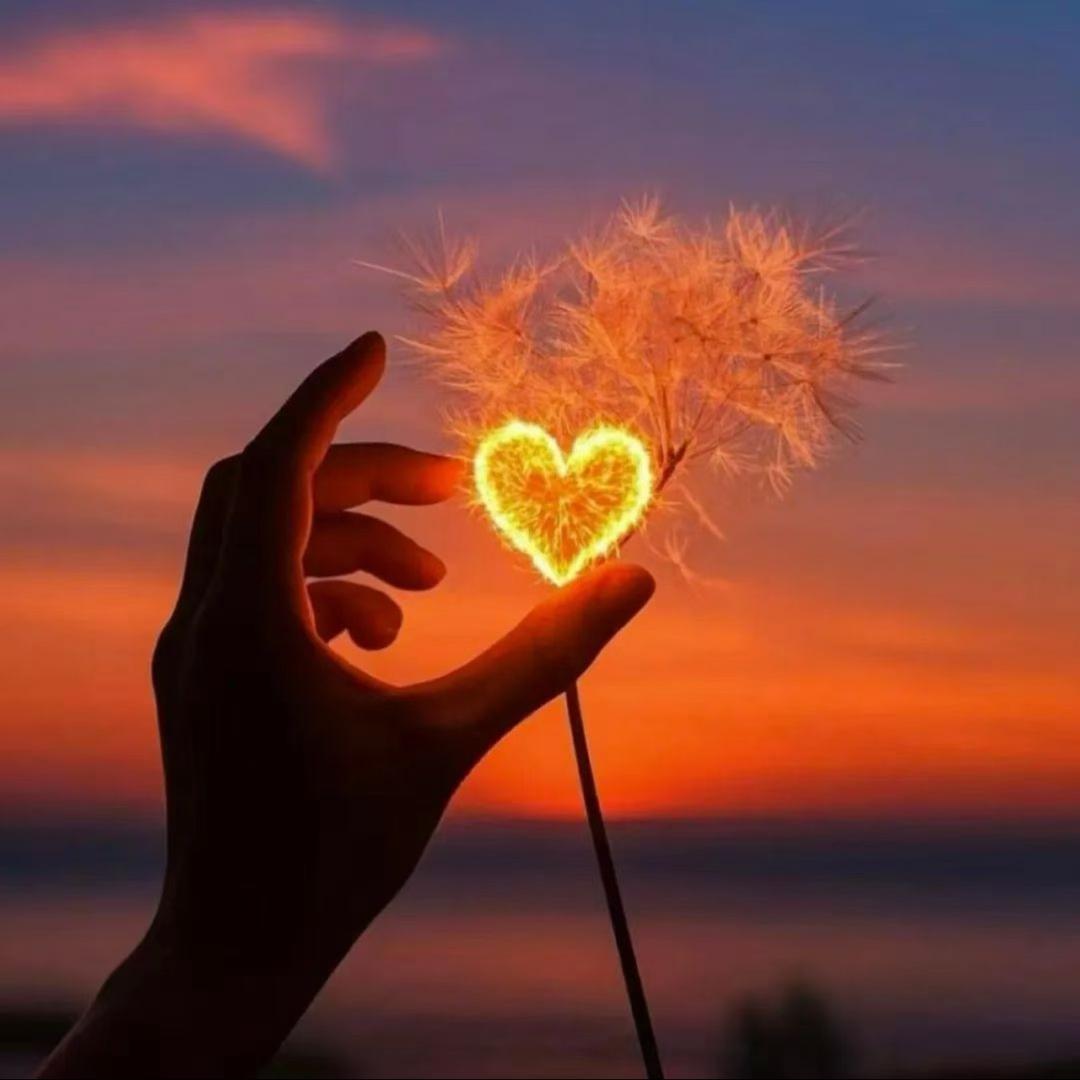 💔💔摧毁过往💔💔