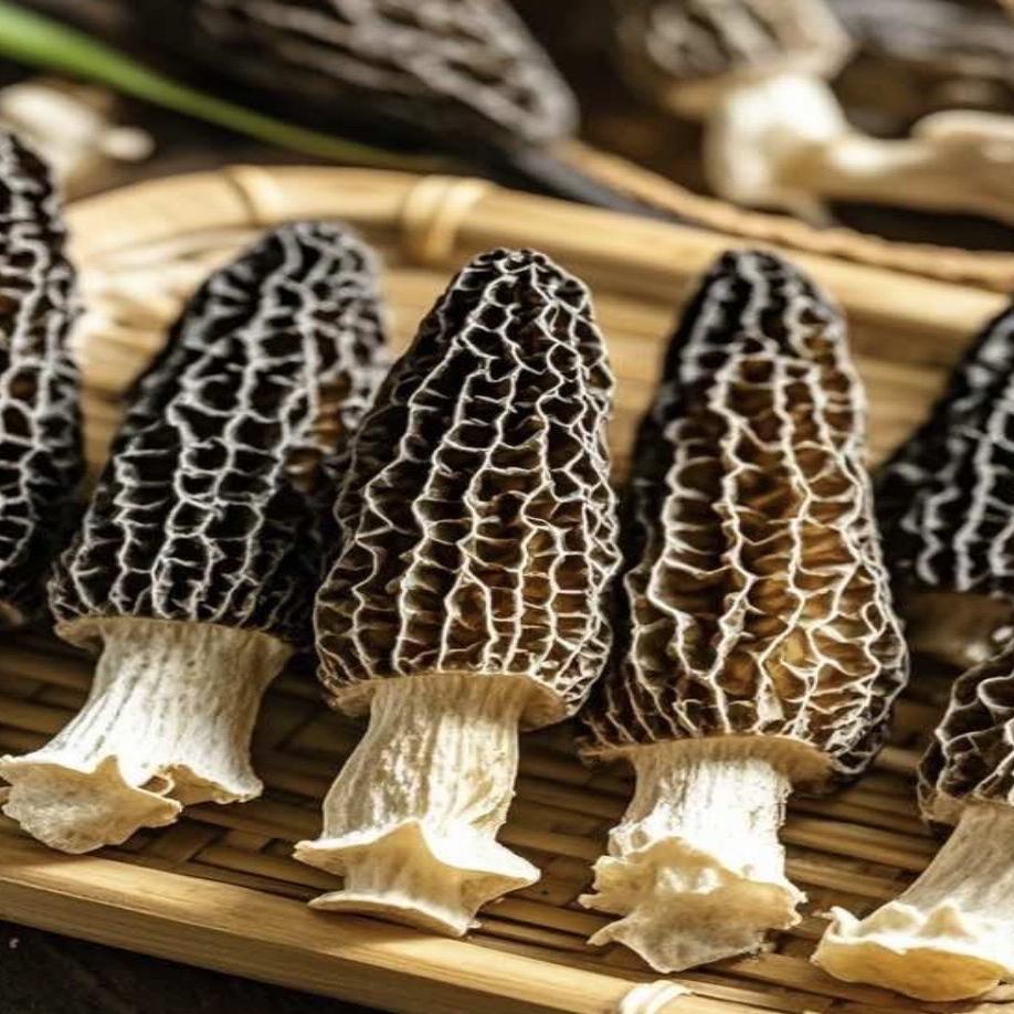 涵涵菌菇优选