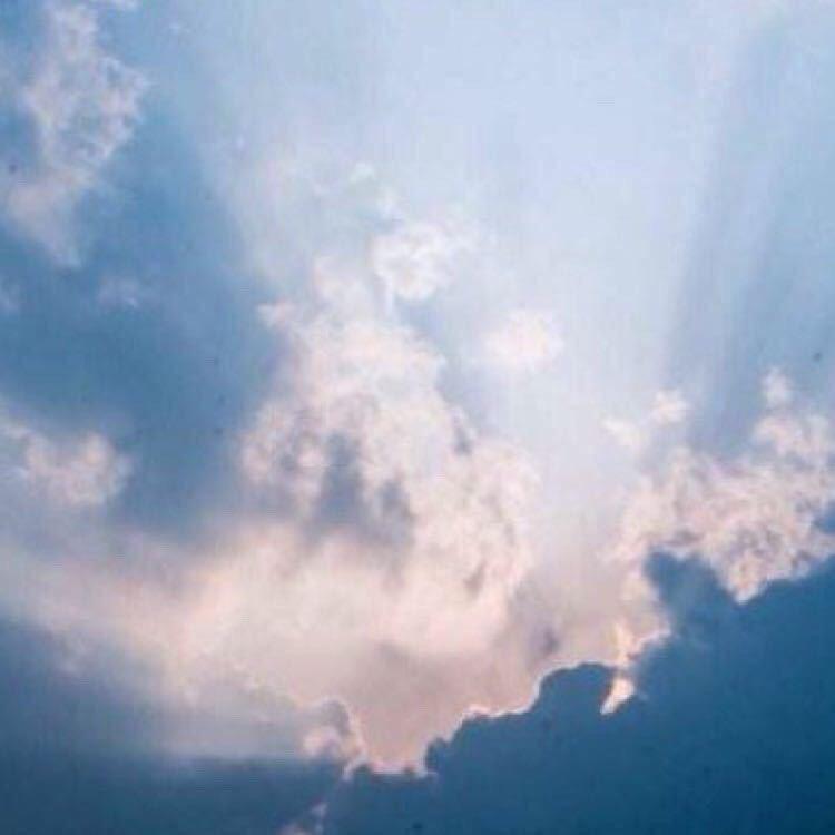 和Eric老师学英语