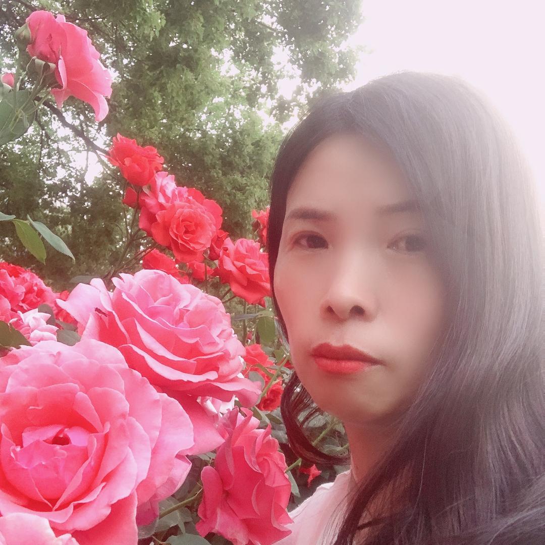 小月姐姐