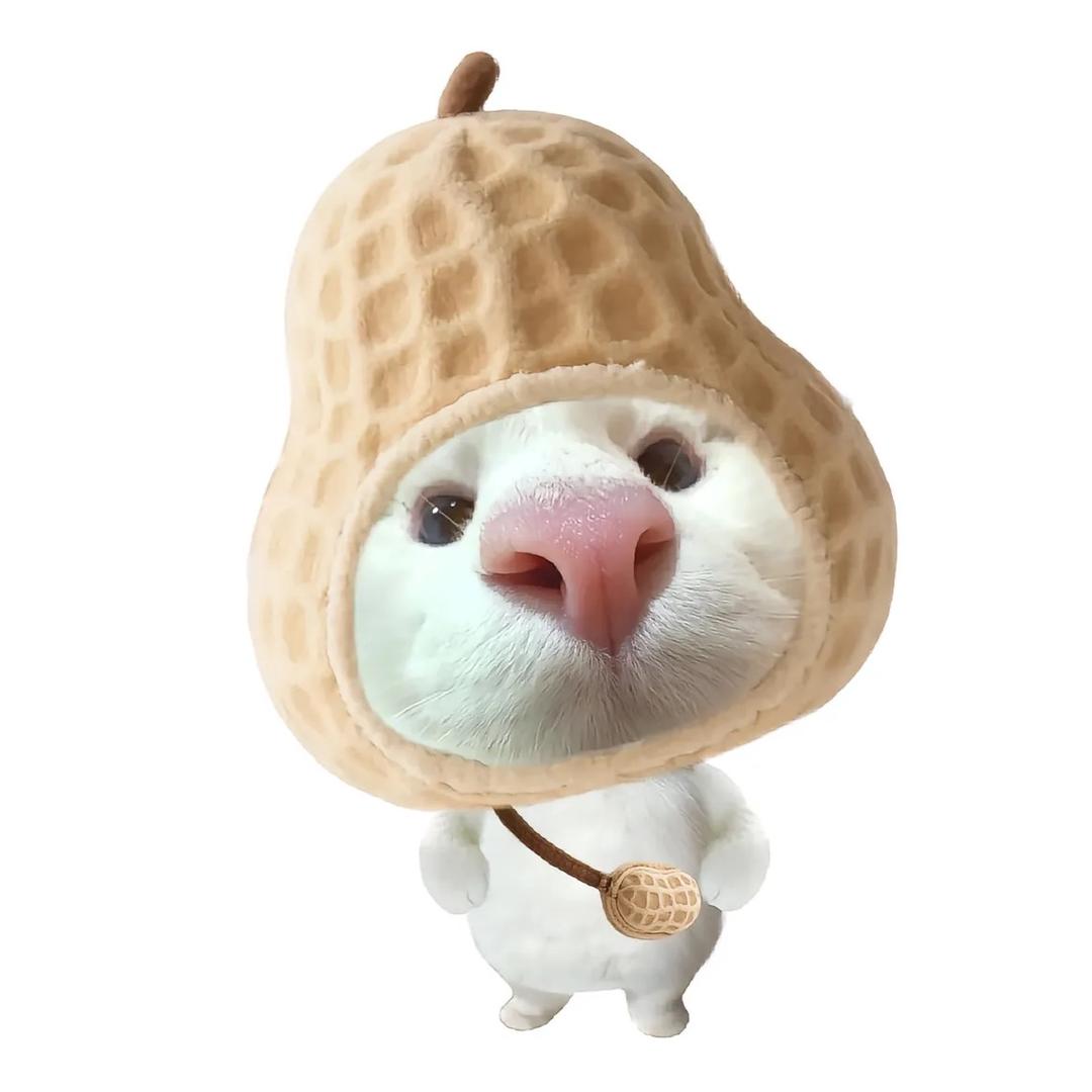 阿臭