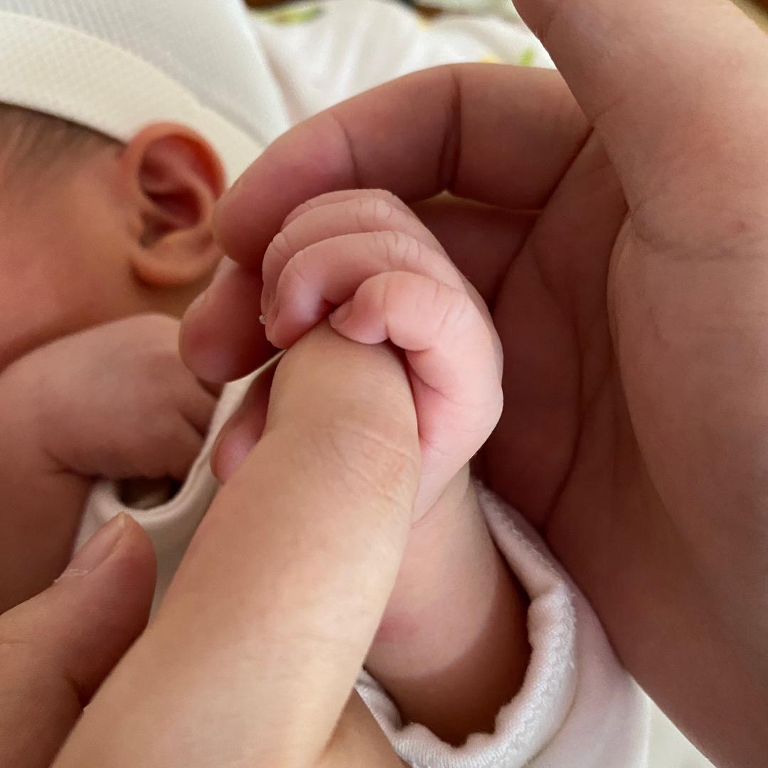 心之所向，素履而往