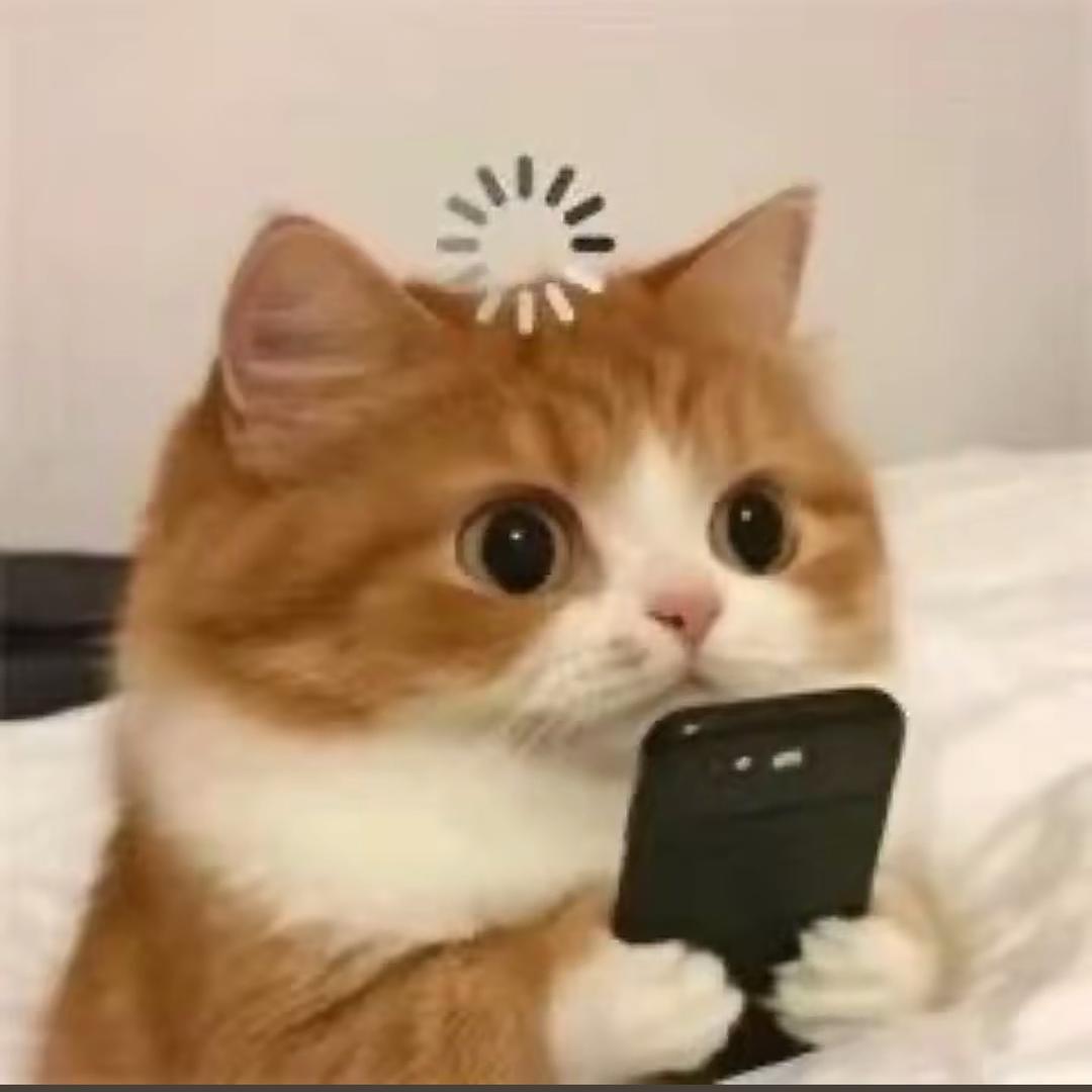 专打坏男人
