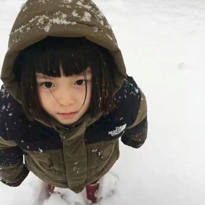 飞鸟和蝉