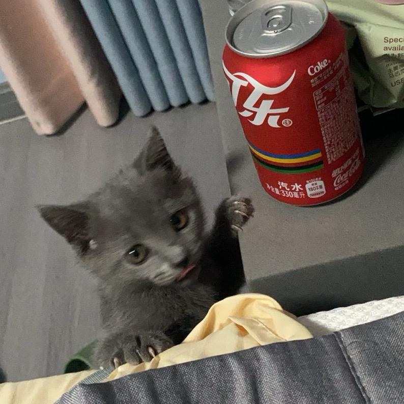 问题青年