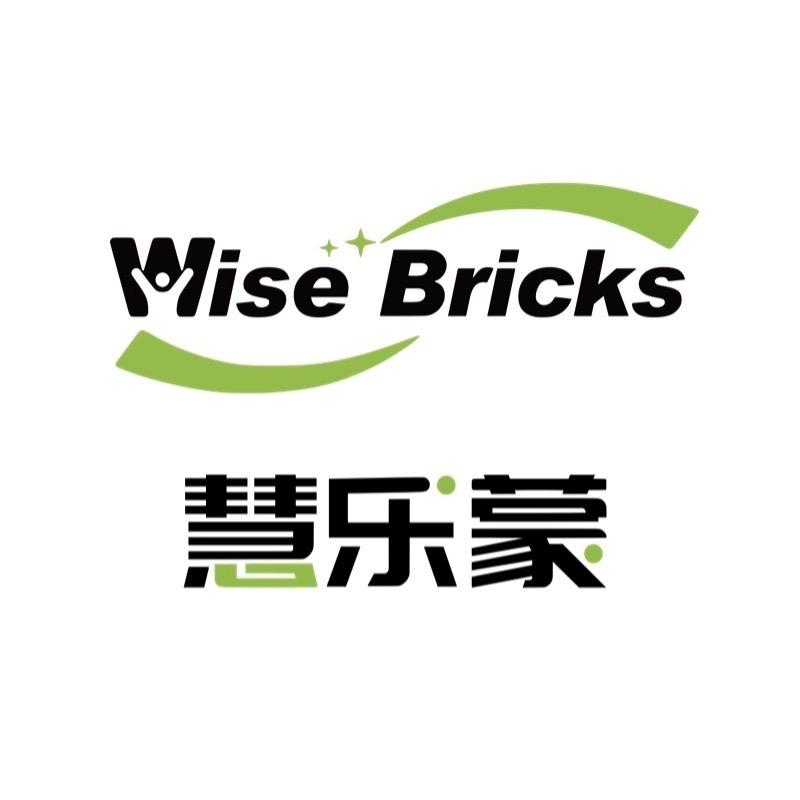 慧乐蒙Wise Bricks