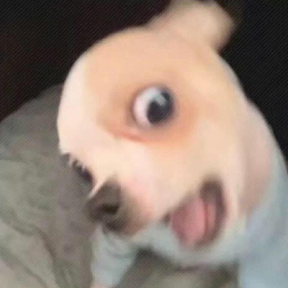 头脑发达