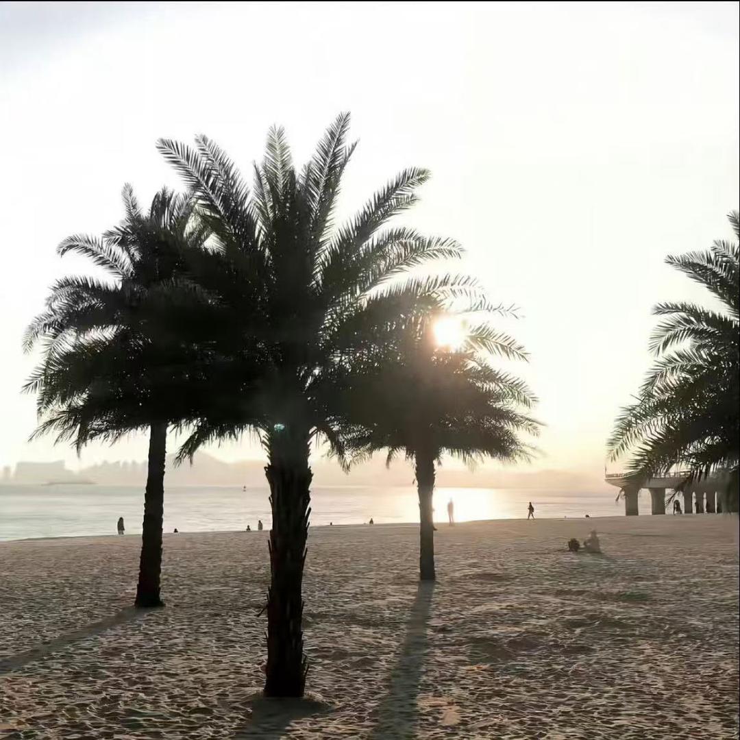 烤冷面不放洋葱